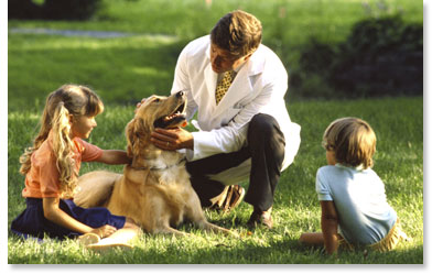 Pet Registration Service