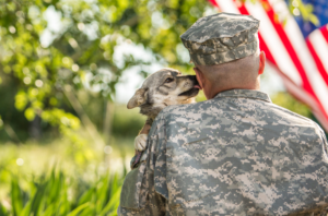 Service Dogs