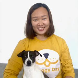 Dog Holiday