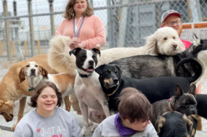 Dog Daycare