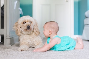 Babies who grow up around pets
