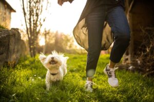 Benefits of pets