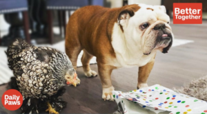 Heartwarming Friendship